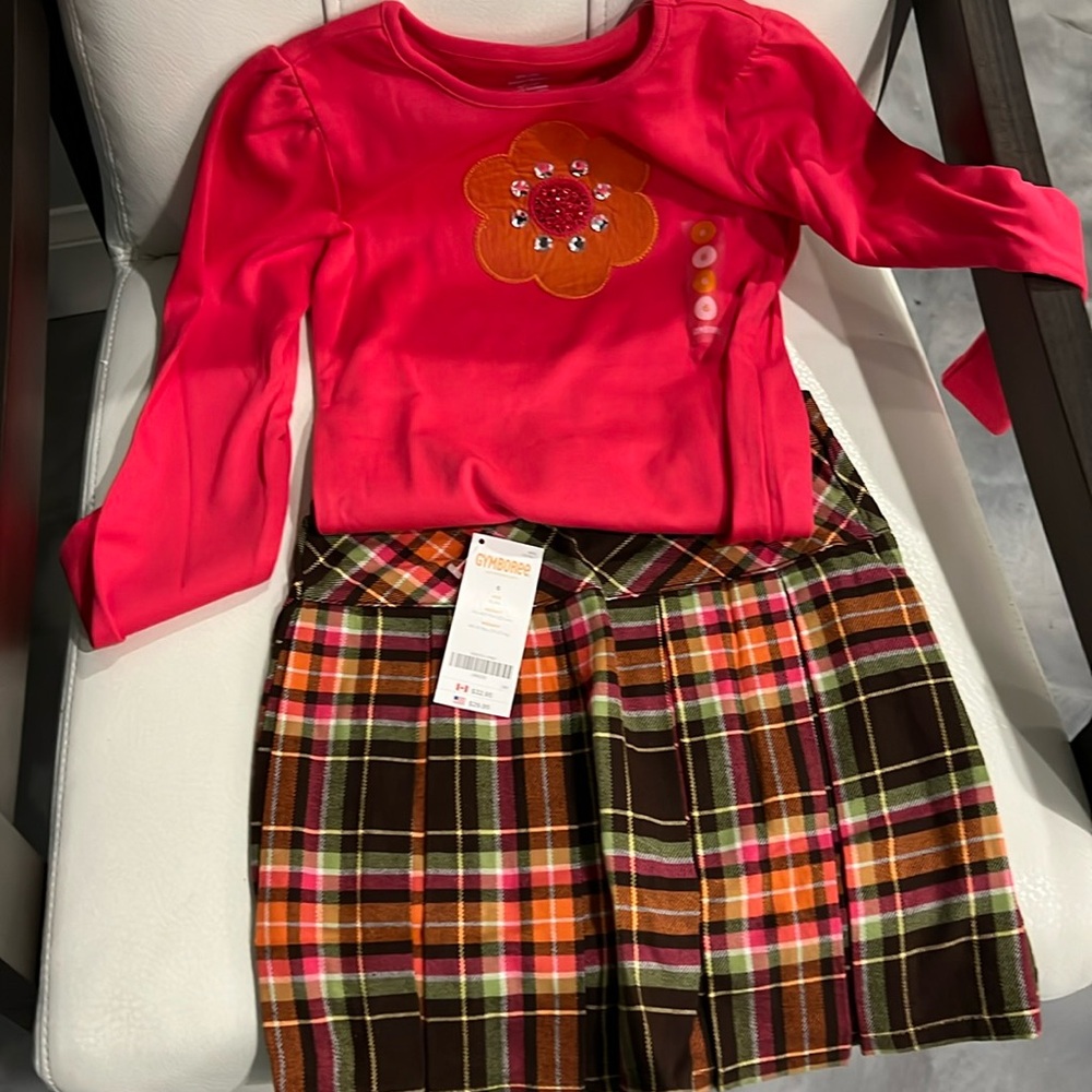 Gymboree darling two piece outfit